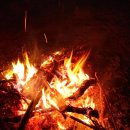 모닥불 이미지