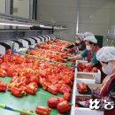 지리산농협 APC 이미지