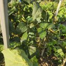 희정이네농장 이미지