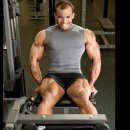 머슬휘트니스 이미지