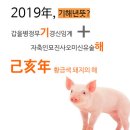 840:회차: 2018년 12월 31일 월요일 (🔶:동행로또: 2019년 기해년 황금 돼지띠 새해 복 많이 받으세요:🔶) 감사 드립니다,♤ 이미지