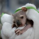 ZOO동물병원 이미지