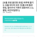 디프리투어 이미지