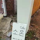 살구라는 이름의 고양이 | [담양/창평] 창평 국밥거리 속 힐링, 고양이가 있는 '카페 소온' 내돈내산 후기
