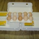 금순 농장 이미지