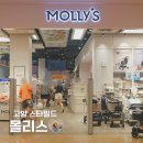 몽앤츄 | 고양 스타필드 실내 애견동반 몰리스