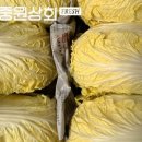 야채삼촌