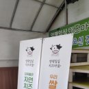 크린하우스 임실점 | 가족단위 체험 종합 세트! 양평 임실 치즈 마을 후기 1부 (내돈내산)