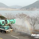 횡성토종닭 이미지