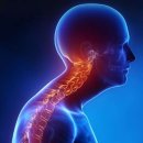 행복한 휘트니스 운동처방 PT전문센터 이미지