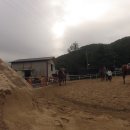 동서울 승마장 이미지