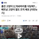 [국민청원]봉화-베트남마을 조성 반대청원 이미지