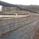 강남여주부동산공인중개사사무소 이미지