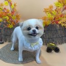 딱이네미용실 이미지