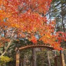 오대산 금빛펜션 이미지