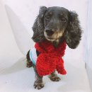 꼬미맘님이 직접만들어주신 목도리후기♥