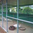 황금알 농장 이미지