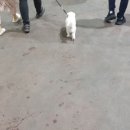 거북공판장 이미지