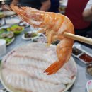 동백7호