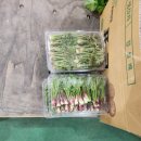 원주시 농산물공영도매시장 이미지