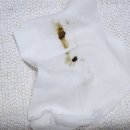 고양이 유산균 유비벳 푸 디오더 프로바이오틱스 급여 후기
