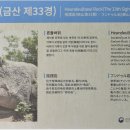 금산-08 Daum카페
