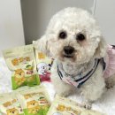 콕 코리아 | 강아지 간식 추천🐶 : 인터펫코리아 옳치즈🧀