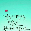해피타운점핑클럽
