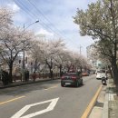 세븐일레븐도봉우이천점 이미지