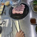 돈포스 네이버블로그