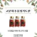 오혜숙생활단식전주지사