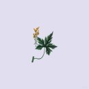 자유시간 - 동구 | 자유시간