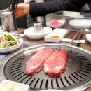 몽돈