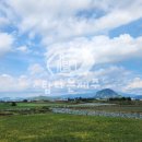 상모리-30 이미지