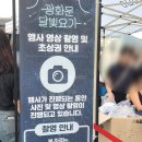 달빛 요가(야간) | 2024년 서울시 광화문 달빛요가 참여 후기