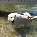 개편한세상 이미지