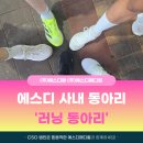다팜메디칼 | [에스디팜·에스디메디컬] 에스디 사내동아리 #33 러닝 동아리6번째 활동 🏃