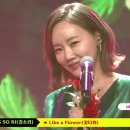 🍒[Stage-Mix] KANG SO RI(강소리) ★ Like a Flower(꽃다워) 이미지