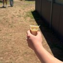 (주)하이랜드 | 시드니 6박 7일 일정 DAY3 - 지그재그 투어 "나 웜뱃 안아 ♥ 서던하이랜드 투어" 내돈내산 강력 추천 후기