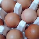 이마트약국 이미지