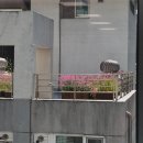 메이비 하우스 | 열심히 일하는 줄 알지만 사실은 딴짓중인 나