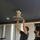 레디바디 이미지