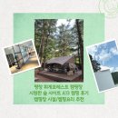 A13 | 평창 휘게포레스트 캠핑장 시원한 숲 사이트 A13 캠핑 후기/캠핑장 시설/캠핑요리 추천