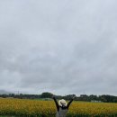 한중우호의숲 이미지