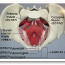 우리콩협동조합 이미지