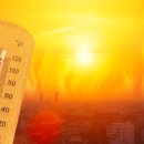 그늘막134 이미지