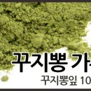 내설악 꾸지뽕