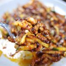 낙지세상 이미지