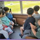 짐앤펀 태권도 | 여수천마태권도장 여수 천마태권도장, 아이들의 건강과 인성을 키워줍니다