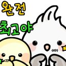 구내안경원